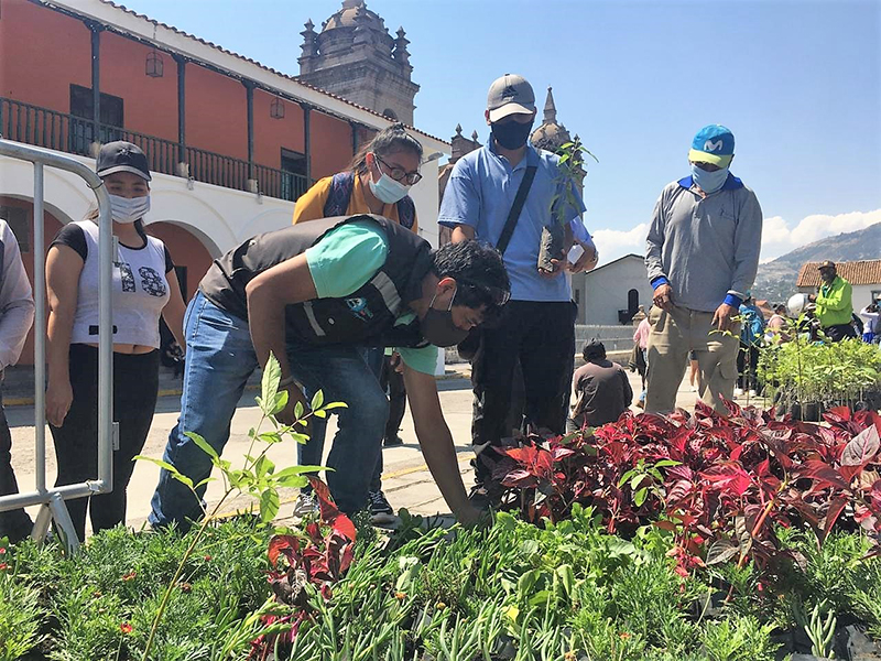 Municipalidad de Huamanga entregará más de 2000 plantas